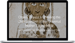 Chakra Vinyasa II – Christopher Tompkins