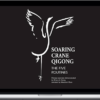 Soaring Crane Qigong – master Zhao Jinxiang