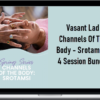 Vasant Lad – Channels Of The Body – Srotamsi – 4 Session Bundle