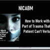 NICABM – How to Work with the Part of Trauma That Your Patient Can’t Verbalize