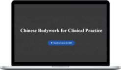 Andrew Nugent-Head – Chinese Bodywork for Clinical Practice