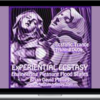 Brian David Phillips – Experiential Ecstasy