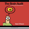 Sean D’Souza – The Brain Audit 3-Day Workshop