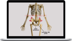 Postural Restoration Institute – Pelvis Restoration 2017