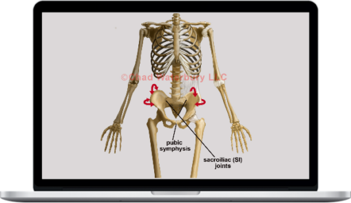 Postural Restoration Institute – Pelvis Restoration 2017