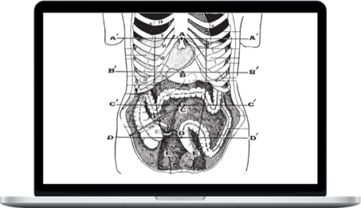 Marty Morales – Visceral Bodywork Bundle