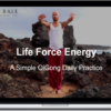 Chris Bale – Life Force Energy