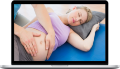 ABMP – Mother's Massage: A Guide to Prenatal and Postpartum Massage & Wellness