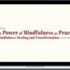 Jon Kabat-Zinn – The Power of Mindfulness as Practice + Mindfulness, Healing and Transformation