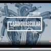 Spirituality Zone – Cardiovascular System