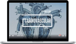 Spirituality Zone – Cardiovascular System