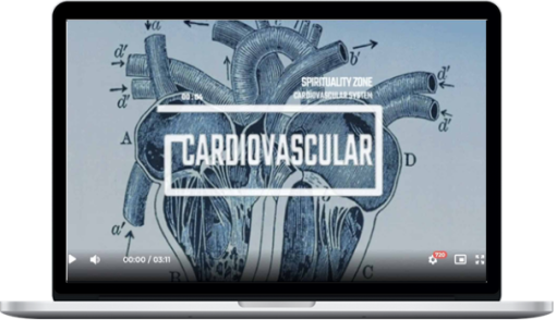 Spirituality Zone – Cardiovascular System