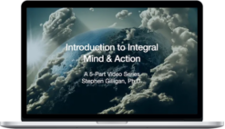 Stephen Gilligan – Introduction to Integral Mind and Action 5-Module Video Series