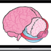 NICABM – The Neurobiology Of Attachment