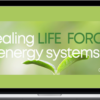 Allie Duzett – Healing Life Force Energy Systems