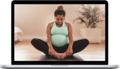 Allie Geer – Prenatal Therapeutics Online Course