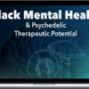 Ancestral Voices – Black Mental Health & Psychedelic Therapeutic Potential