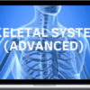 Spirituality Zone – Skeletal System: Renew, Restore & Strengthen (Advanced)