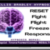 Gillis Bradley – Reset Fight Flight Freeze Response