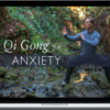 Lee Holden – Qi Gong For Anxiety