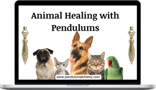 Pendulum Alchemy – Animal Healing With Pendulums