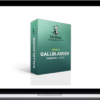 Eric Berg – Gallbladder Essentials Course