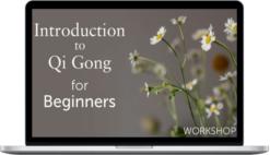 Lee Holden – Introduction To Qi Gong For Beginners Workshop