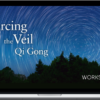 Lee Holden – Piercing The Veil Qi Gong Workshop