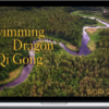 Lee Holden – Swimming Dragon Qi Gong Workshop