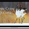 Lee Holden – White Crane Qi Gong Workshop