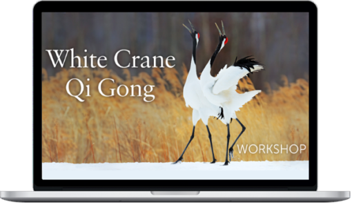 Lee Holden – White Crane Qi Gong Workshop