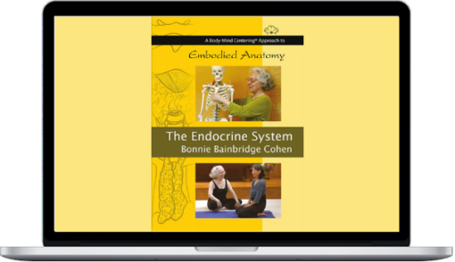 Bonnie Bainbridge Cohen – Embodied Anatomy And The Endocrine System