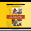 Bonnie Bainbridge Cohen – Embodied Anatomy And The Organ System