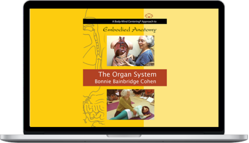 Bonnie Bainbridge Cohen – Embodied Anatomy And The Organ System