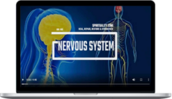 Spirituality Zone – Nervous System Renew, Restore & Rejuvenate (Advanced Version)