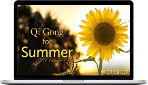 Holden QiGong – Qi Gong For Summer Workshop