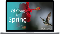 Holden QiGong – Qi Gong for Spring