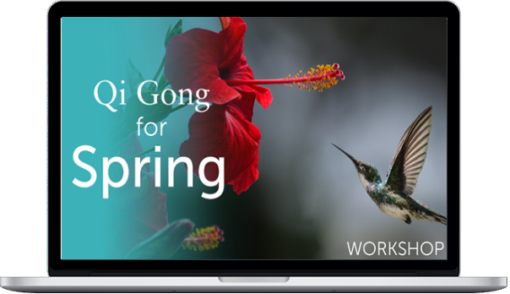 Holden QiGong – Qi Gong for Spring