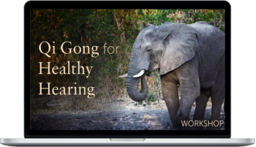 Lee Holden – Qi Gong For Healthy Hearing Workshop