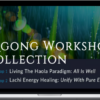 Master Mingtong Gu – Qigong Workshop Collection