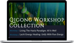 Master Mingtong Gu – Qigong Workshop Collection