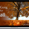 Holden QiGong – Qi Gong for Fall Workshop