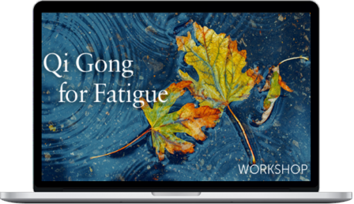 Lee Holden – Qi Gong For Fatigue Workshop