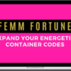 Mina Irfan – Femm Container Course – The Universe Guru