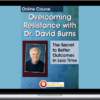 David Burns – Overcoming Resistance with Dr. David Burns: The Secret to Better Outcomes In Less Time