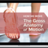 Elizabeth Murray – How We Move: The Gross Anatomy of Motion