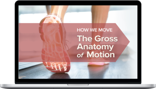 Elizabeth Murray – How We Move: The Gross Anatomy of Motion